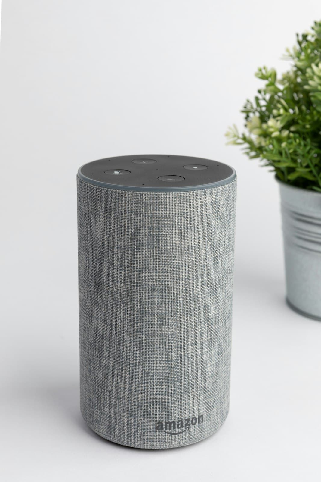 Slimme speaker naast een groene plant